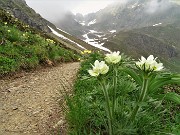 37 Sul sent. 109 per i Laghi di Ponteranica...